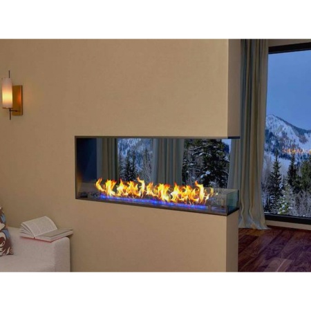 Встраиваемый торцевой сквозной очаг ZeFire Standart 600 по цене 29 800 руб.